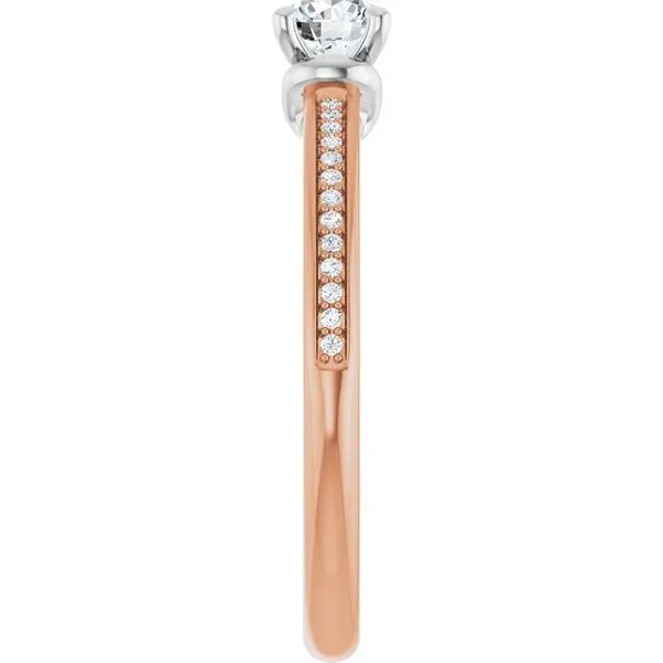 Solitaire Engagement Ring Image 4 Clater Jewelers Louisville, KY