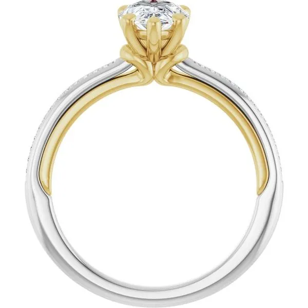 Solitaire Engagement Ring Image 2 Futer Bros Jewelers York, PA