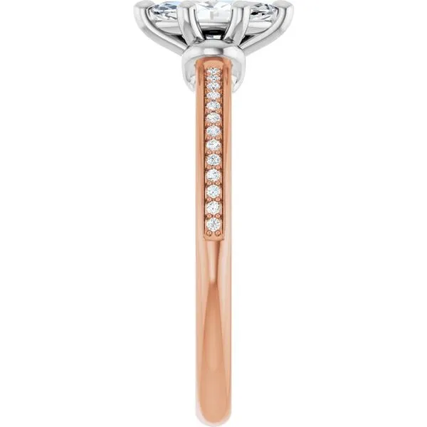 Solitaire Engagement Ring Image 4 Shipley's Fine Jewelry Hampstead, MD