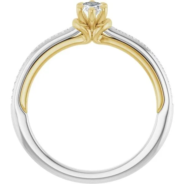 Solitaire Engagement Ring Image 2 Clater Jewelers Louisville, KY