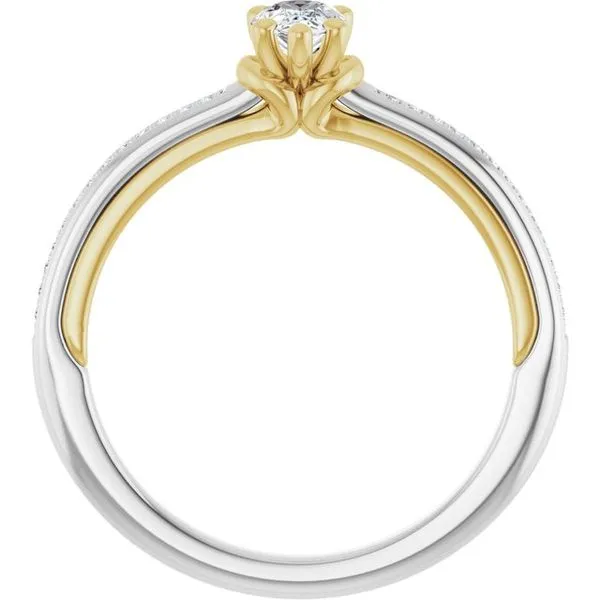 Solitaire Engagement Ring Image 2 Arezzo Jewelers Elmwood Park, IL