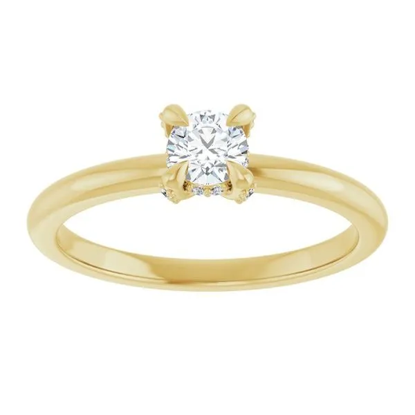 Claw-Prong Hidden Halo-Style Engagement Ring Image 3 Hudson Valley Goldsmith New Paltz, NY