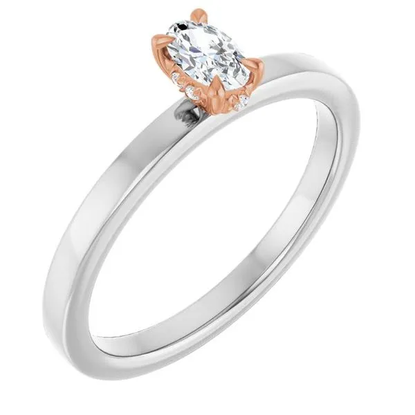 Claw-Prong Hidden Halo-Style Engagement Ring Don's Jewelry & Design Washington, IA