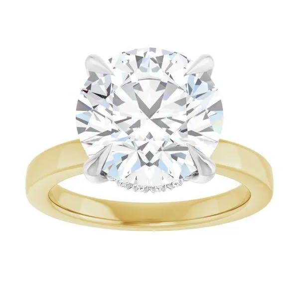 Claw-Prong Hidden Halo-Style Engagement Ring Image 3 JF Jones Jewelers Rochester, NY