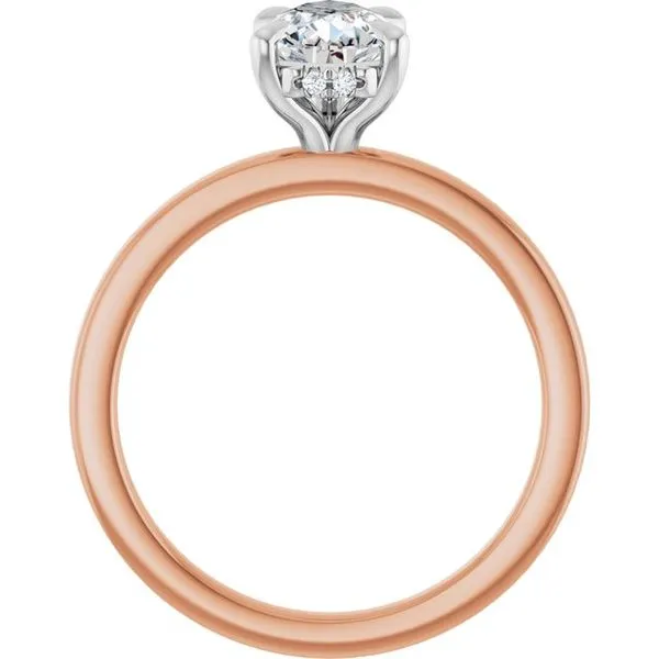 Claw-Prong Hidden Halo-Style Engagement Ring Image 2 JF Jones Jewelers Rochester, NY