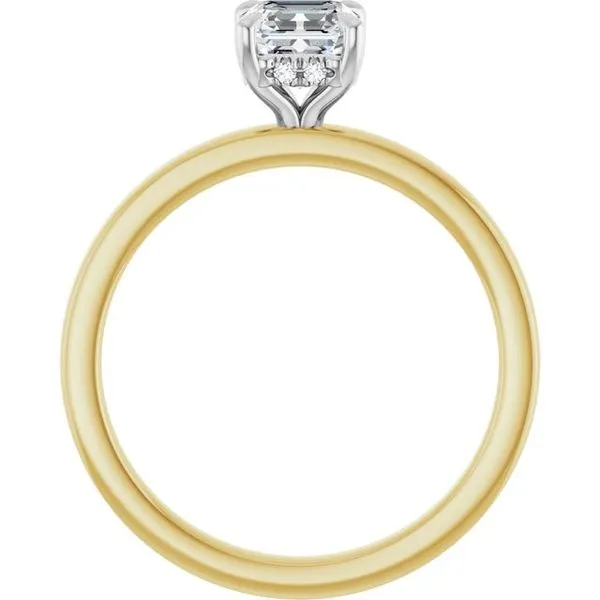 Claw-Prong Hidden Halo-Style Engagement Ring Image 2 Hudson Valley Goldsmith New Paltz, NY