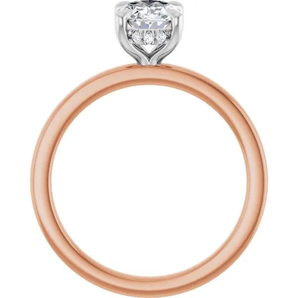 Claw-Prong Hidden Halo-Style Engagement Ring Image 2 Don's Jewelry & Design Washington, IA