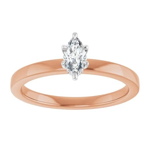 Claw-Prong Hidden Halo-Style Engagement Ring Image 3 Futer Bros Jewelers York, PA