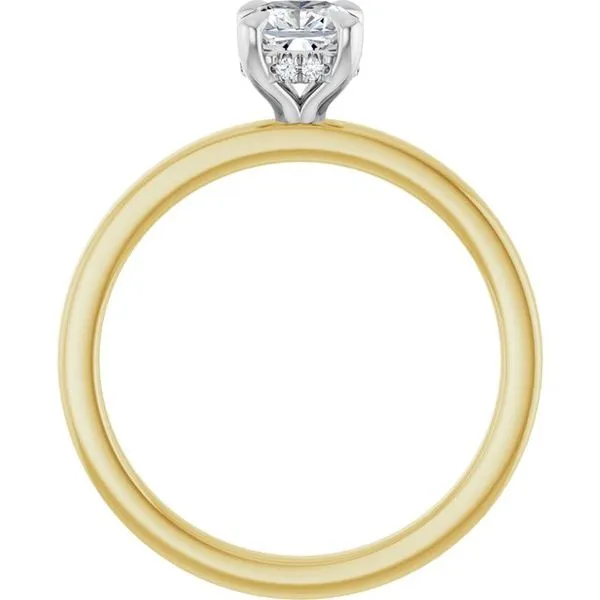 Claw-Prong Hidden Halo-Style Engagement Ring Image 2 JF Jones Jewelers Rochester, NY