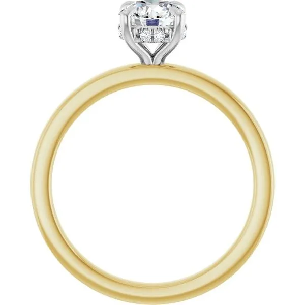 Claw-Prong Hidden Halo-Style Engagement Ring Image 2 JF Jones Jewelers Rochester, NY