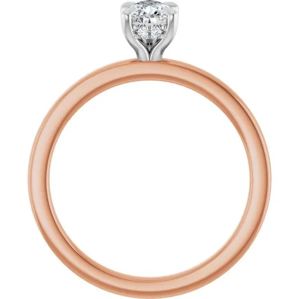 Claw-Prong Hidden Halo-Style Engagement Ring Image 2 Clater Jewelers Louisville, KY