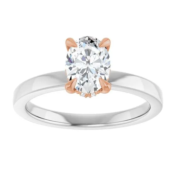 Claw-Prong Hidden Halo-Style Engagement Ring Image 3 Hudson Valley Goldsmith New Paltz, NY