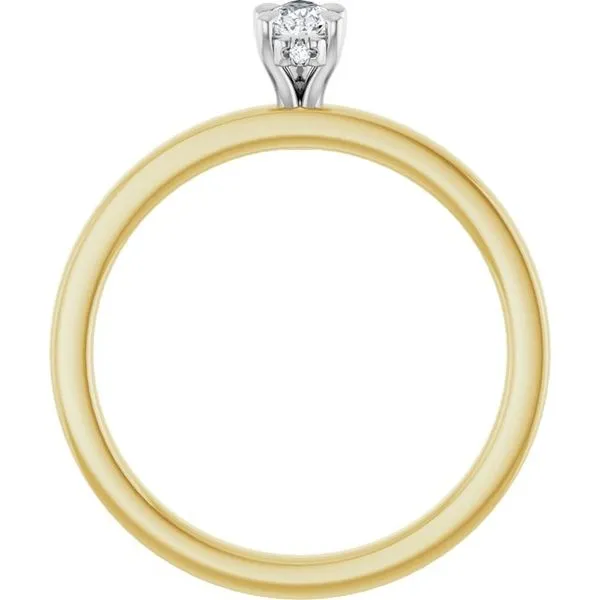 Claw-Prong Hidden Halo-Style Engagement Ring Image 2 Clater Jewelers Louisville, KY