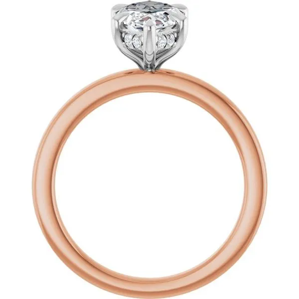 Claw-Prong Hidden Halo-Style Engagement Ring Image 2 JF Jones Jewelers Rochester, NY