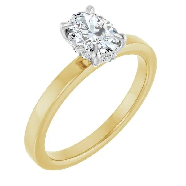 Claw-Prong Hidden Halo-Style Engagement Ring Don's Jewelry & Design Washington, IA