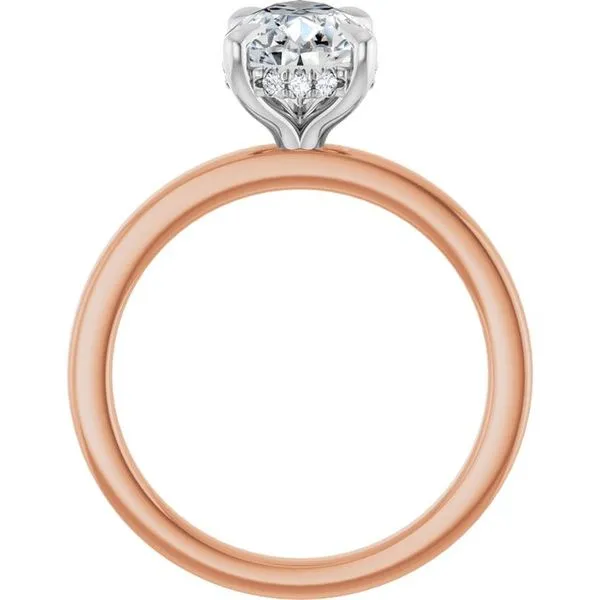 Claw-Prong Hidden Halo-Style Engagement Ring Image 2 Don's Jewelry & Design Washington, IA