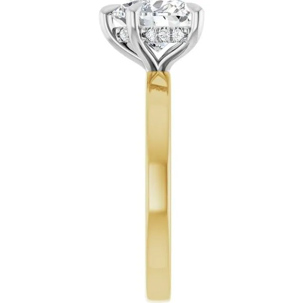 Claw-Prong Hidden Halo-Style Engagement Ring Image 4 Don's Jewelry & Design Washington, IA