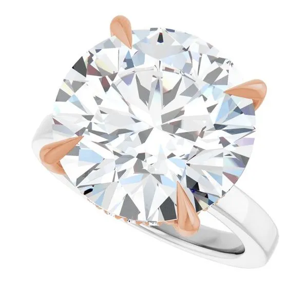 Claw-Prong Hidden Halo-Style Engagement Ring Image 5 JF Jones Jewelers Rochester, NY