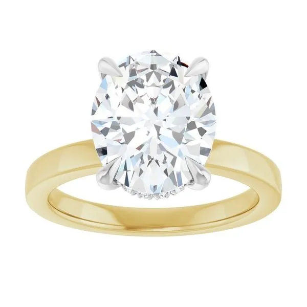 Claw-Prong Hidden Halo-Style Engagement Ring Image 3 Don's Jewelry & Design Washington, IA