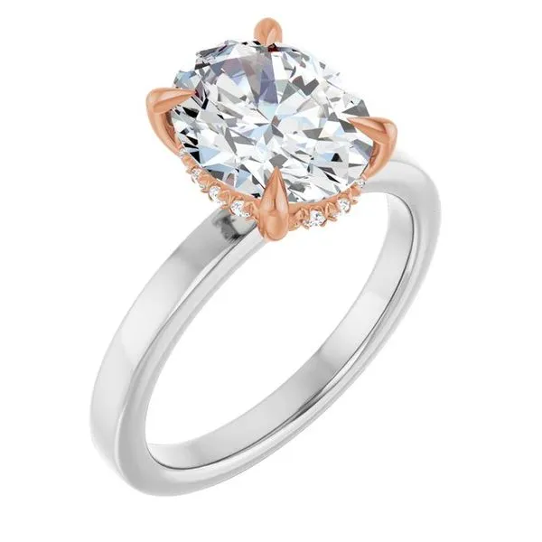 Claw-Prong Hidden Halo-Style Engagement Ring Don's Jewelry & Design Washington, IA