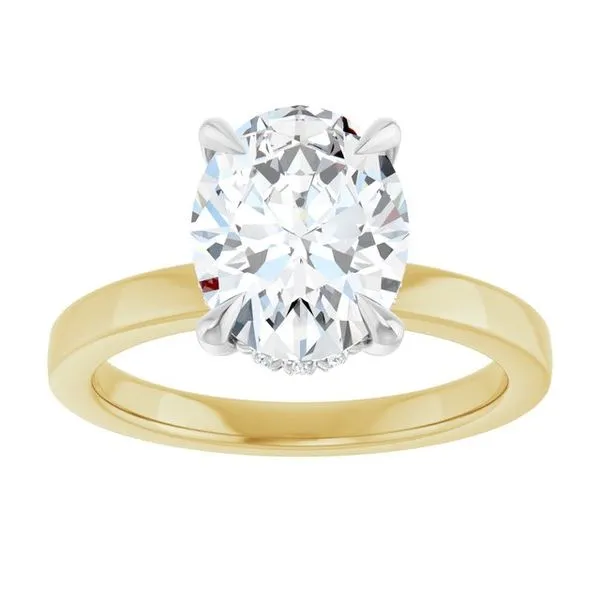 Claw-Prong Hidden Halo-Style Engagement Ring Image 3 JF Jones Jewelers Rochester, NY