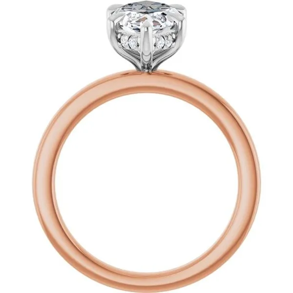 Claw-Prong Hidden Halo-Style Engagement Ring Image 2 Futer Bros Jewelers York, PA