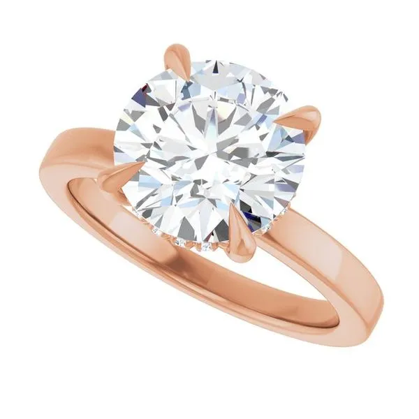 Claw-Prong Hidden Halo-Style Engagement Ring Image 5 Hudson Valley Goldsmith New Paltz, NY