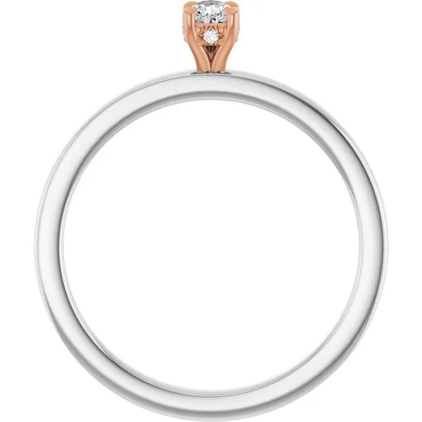 Claw-Prong Hidden Halo-Style Engagement Ring Image 2 Don's Jewelry & Design Washington, IA