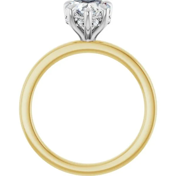 Claw-Prong Hidden Halo-Style Engagement Ring Image 2 Don's Jewelry & Design Washington, IA