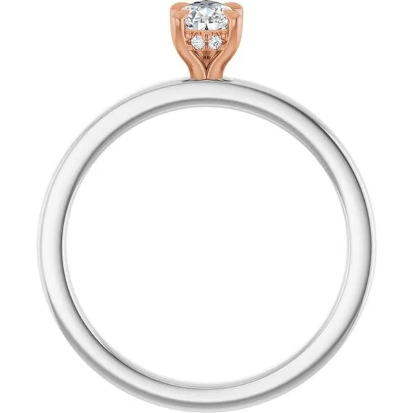 Claw-Prong Hidden Halo-Style Engagement Ring Image 2 J. Thomas Jewelers Rochester Hills, MI