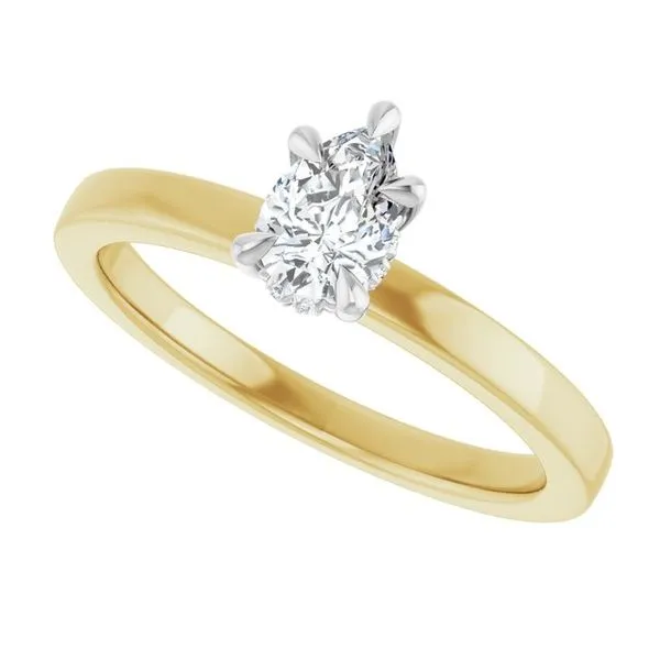 Claw-Prong Hidden Halo-Style Engagement Ring Image 5 JF Jones Jewelers Rochester, NY