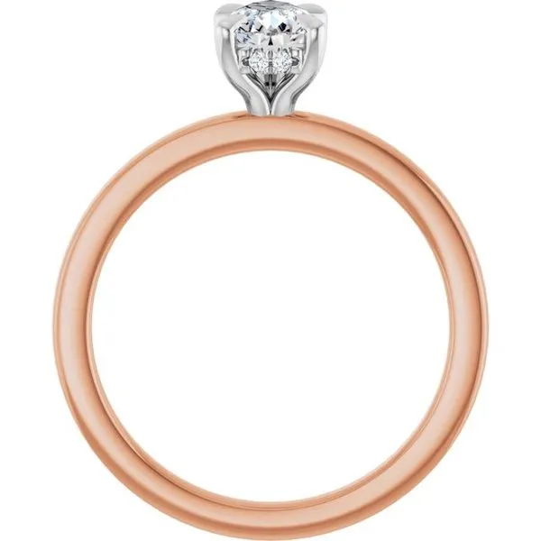 Claw-Prong Hidden Halo-Style Engagement Ring Image 2 Don's Jewelry & Design Washington, IA