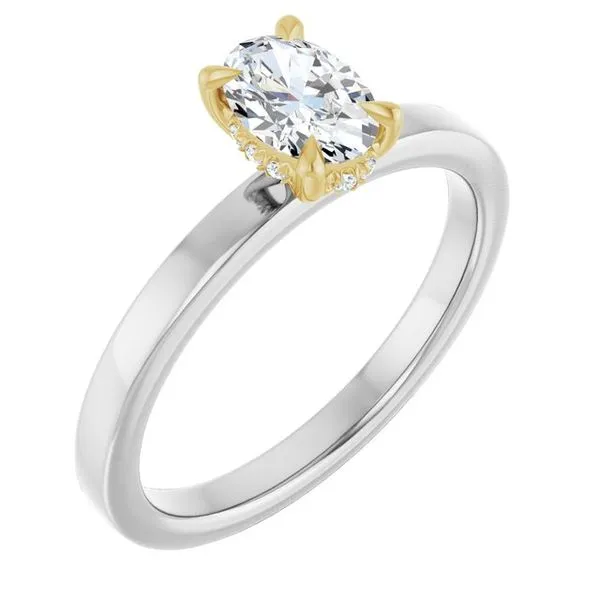Claw-Prong Hidden Halo-Style Engagement Ring Don's Jewelry & Design Washington, IA
