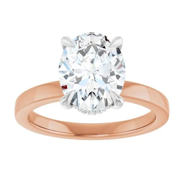 Claw-Prong Hidden Halo-Style Engagement Ring Image 3 Futer Bros Jewelers York, PA