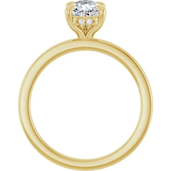 Claw-Prong Hidden Halo-Style Engagement Ring Image 2 Futer Bros Jewelers York, PA