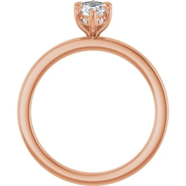 Claw-Prong Hidden Halo-Style Engagement Ring Image 2 Don's Jewelry & Design Washington, IA