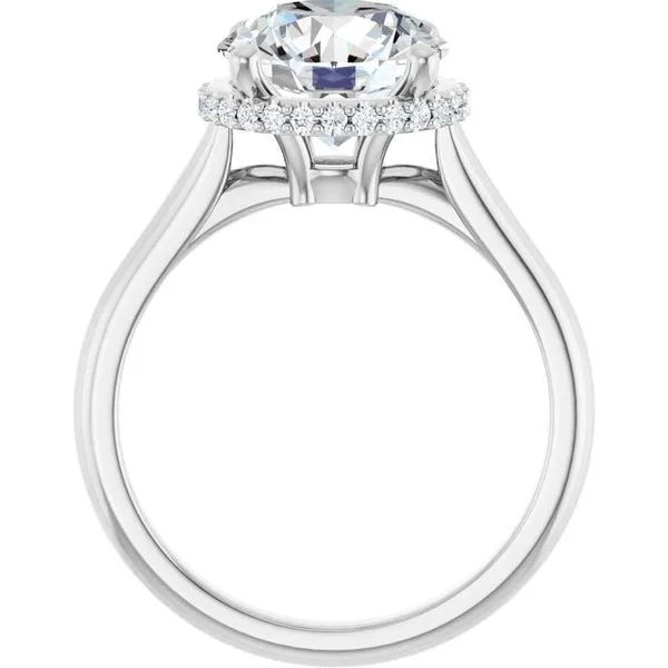 Hidden Halo-Style Engagement Ring Image 2 Futer Bros Jewelers York, PA