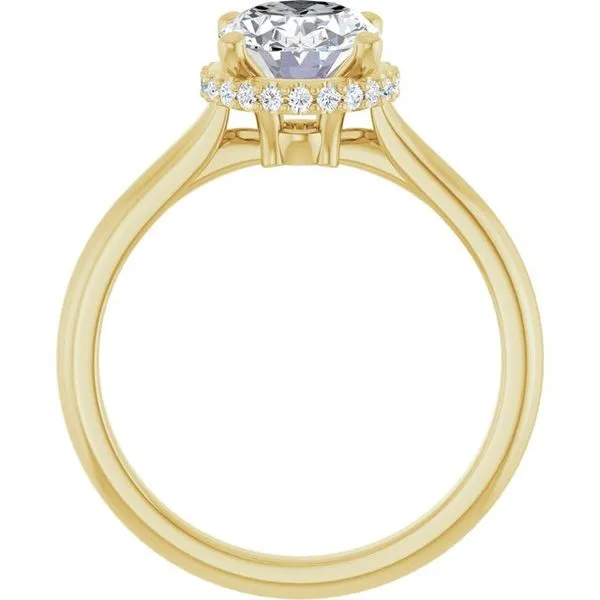 Hidden Halo-Style Engagement Ring Image 2 Natale Jewelers Sewell, NJ
