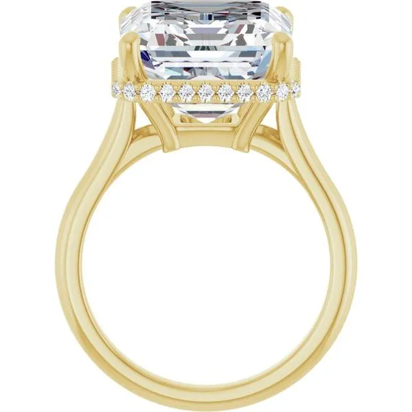 Hidden Halo-Style Engagement Ring Image 2 JF Jones Jewelers Rochester, NY