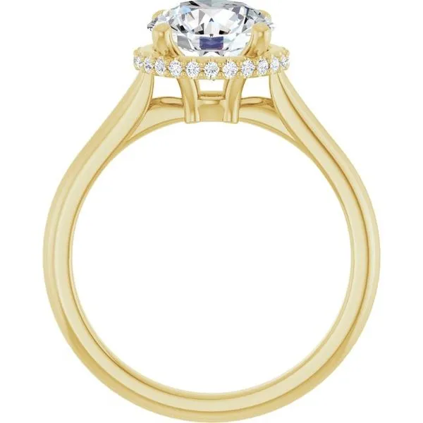 Hidden Halo-Style Engagement Ring Image 2 J. Thomas Jewelers Rochester Hills, MI