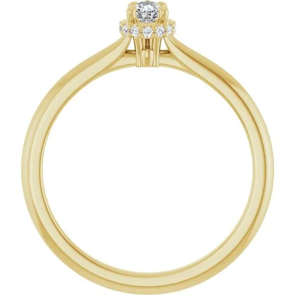 Hidden Halo-Style Engagement Ring Image 2 Raleigh Diamond Fine Jewelry Raleigh, NC
