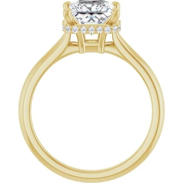 Hidden Halo-Style Engagement Ring Image 2 J. Thomas Jewelers Rochester Hills, MI