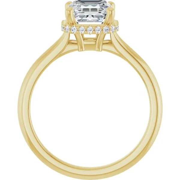 Hidden Halo-Style Engagement Ring Image 2 Hudson Valley Goldsmith New Paltz, NY