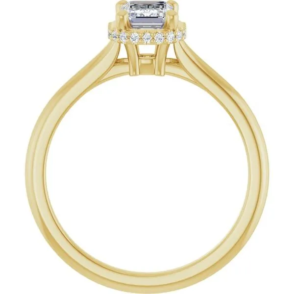 Hidden Halo-Style Engagement Ring Image 2 Ocean View Jewelers Millville, DE