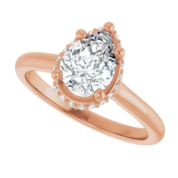 Hidden Halo-Style Engagement Ring Image 5 Futer Bros Jewelers York, PA