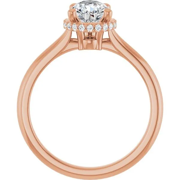 Hidden Halo-Style Engagement Ring Image 2 Jimmy Smith Jewelers Decatur, AL