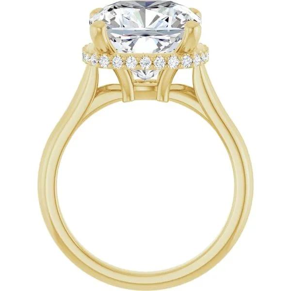 Hidden Halo-Style Engagement Ring Image 2 Futer Bros Jewelers York, PA
