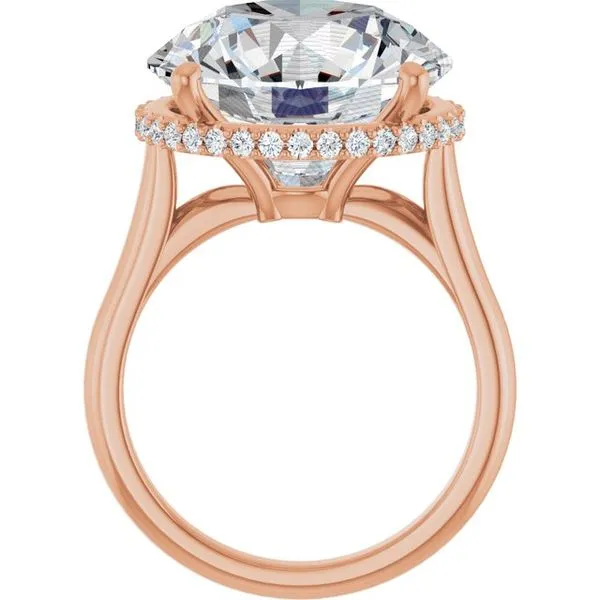 Hidden Halo-Style Engagement Ring Image 2 Hudson Valley Goldsmith New Paltz, NY