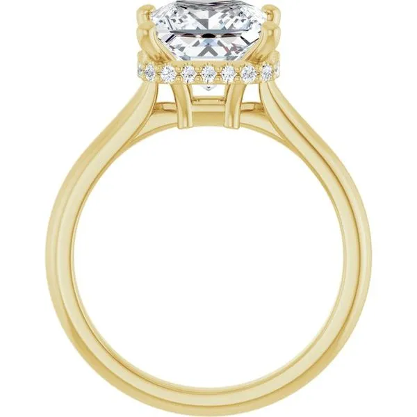 Hidden Halo-Style Engagement Ring Image 2 Futer Bros Jewelers York, PA