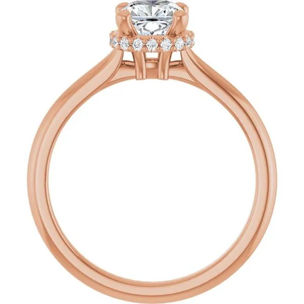 Hidden Halo-Style Engagement Ring Image 2 JF Jones Jewelers Rochester, NY